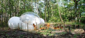 Faut-il investir dans une bulle pour être rentable ?