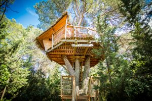 Tout ce qu'il faut savoir pour aménager et louer une cabane dans les arbres.