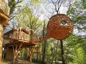 Environnement des hébergements : des arbres solides pour vos cabanes.