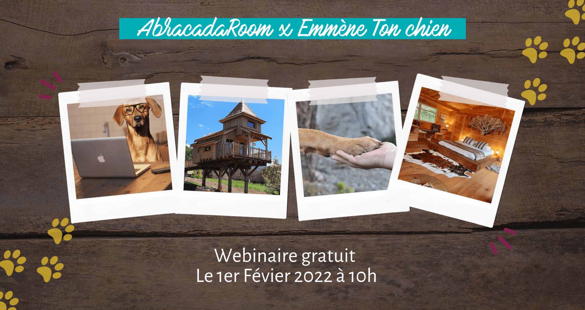 Webinaire Emmène Ton Chien