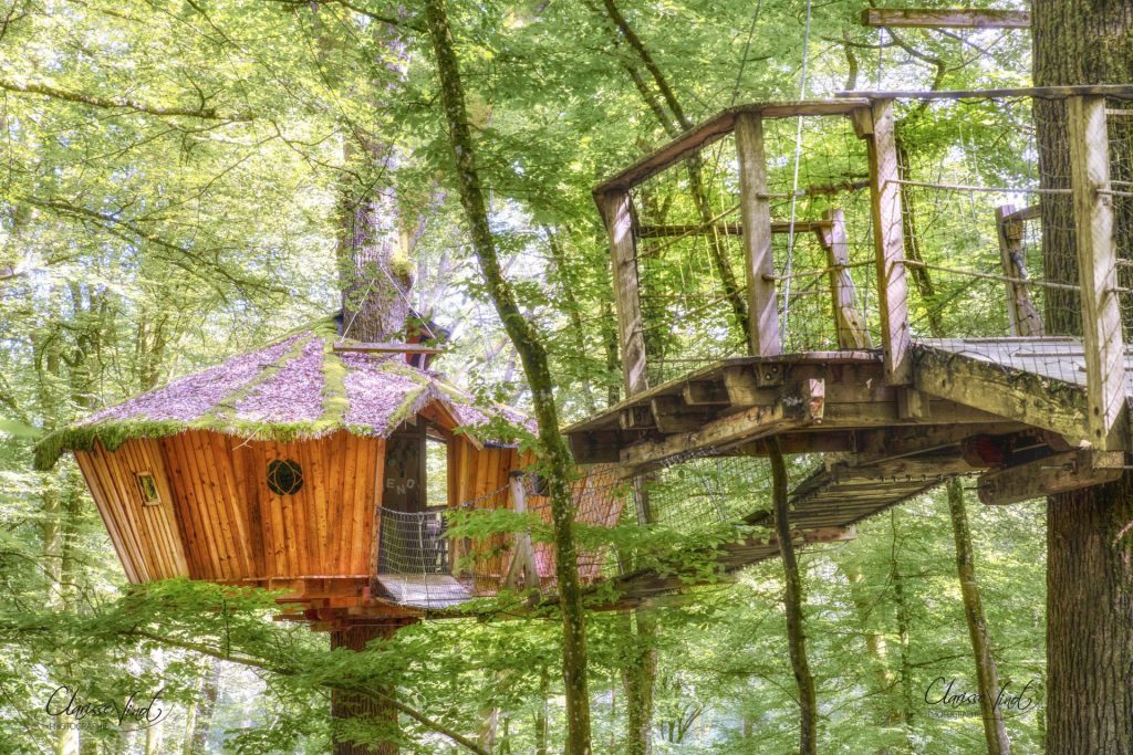 Cabane dans les arbres