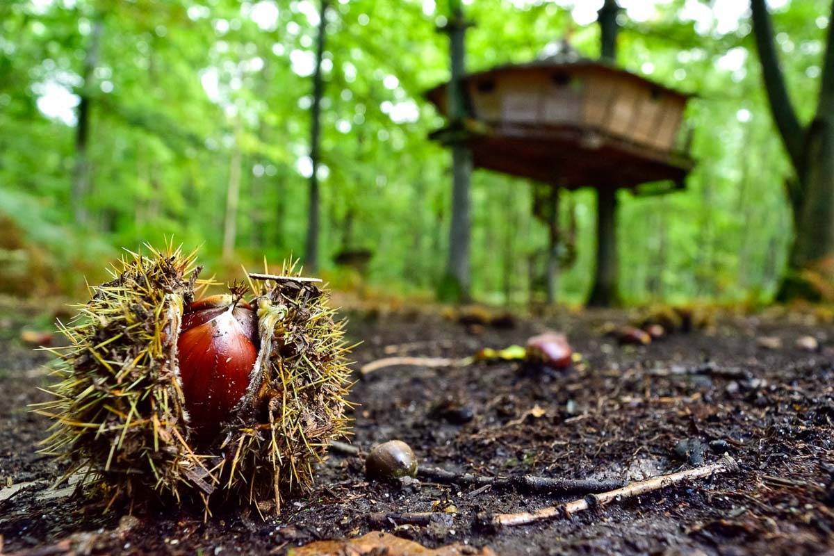 Photographe cabane perchée hebergement insolite gite chambre - LeRegardAngelique-10