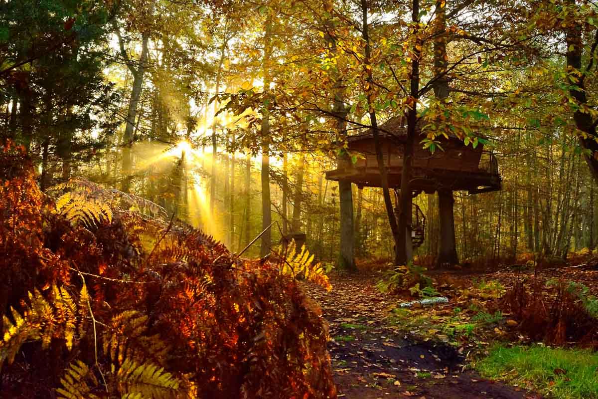 Photographe cabane perchée hebergement insolite gite chambre - LeRegardAngelique-2