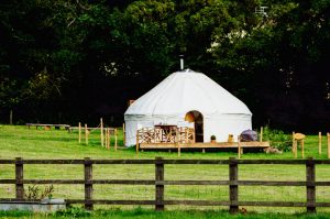 Imaginer des thèmes spécifiques pour rester compétitif.