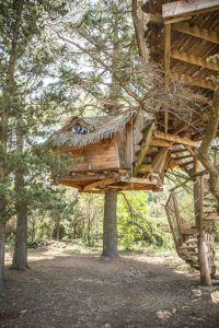 Cabane dans les arbres, l'importance d'une belle photo de qualité