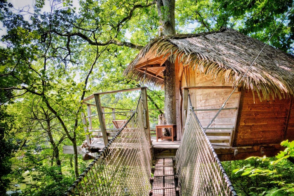 Cabane dans les arbres