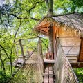 Cabane dans les arbres