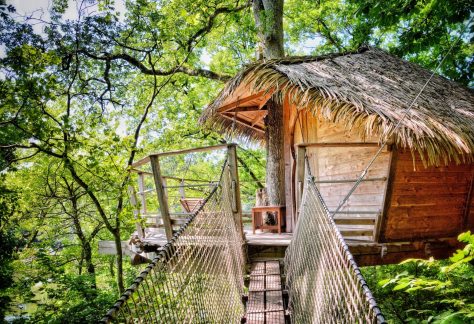 Cabane dans les arbres