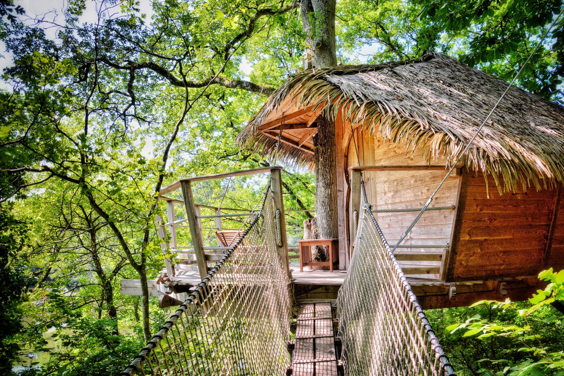 Cabane dans les arbres, hébergements insolites