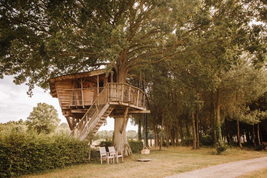 Cabanes dans les arbres