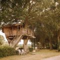 Cabanes dans les arbres