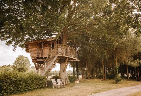 Cabanes dans les arbres