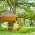 Cabane dans les arbres, hébergement insolite