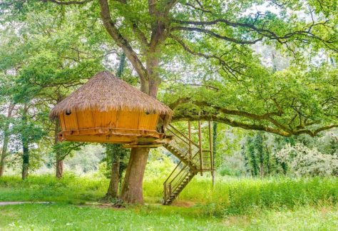 Cabane dans les arbres, hébergement insolite