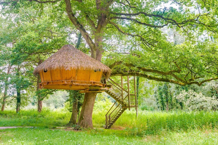 Cabane dans les arbres, hébergement insolite