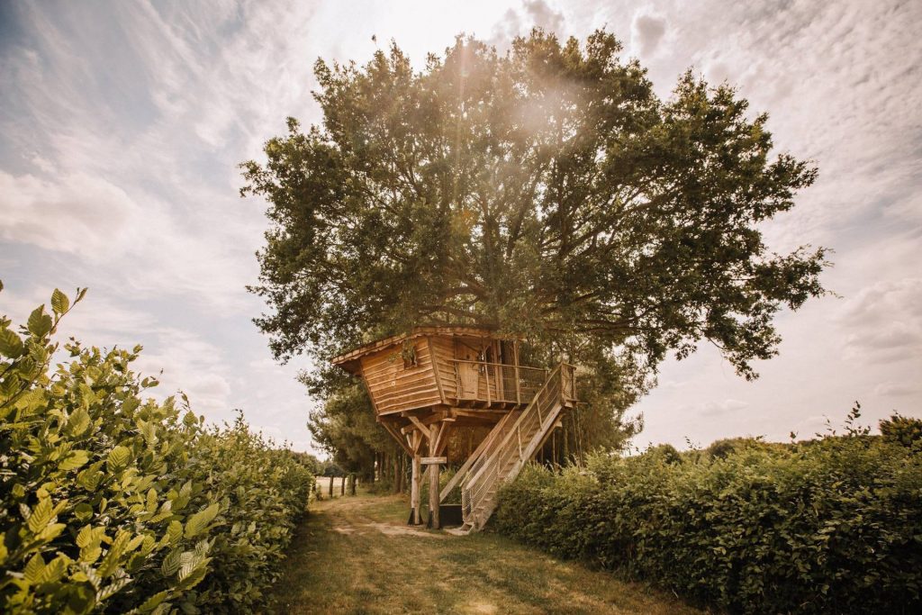 Cabane dans les arbres