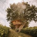 Cabane dans les arbres