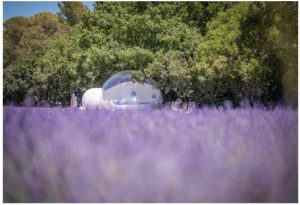 Bulle du lavandin, hébergement insolite