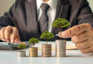 Investissement hébergement insolite