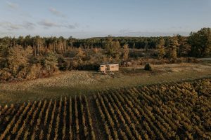 Tiny house, immense terrain