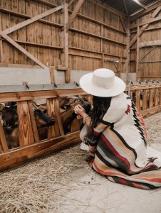 Tiny House Chevrerie de Rilly : Tiny House en Centre