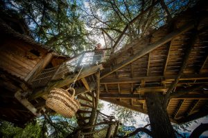 cabanes dans les arbres au domaine de l'arobousier, castries