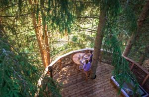 Cabane dans les arbres - Entre Terre et Ciel