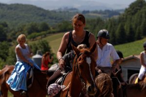 Cheval hébergement insolite