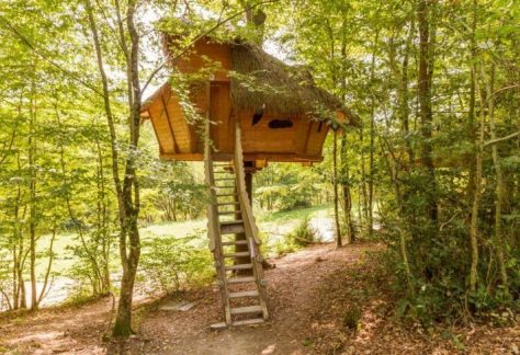 Cabane dans les arbres - Le Parc de Fierbois