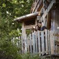 La Cabane Spa Le Charme : Cabane dans les arbres en Picardie