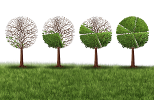 Vendre des produits locaux favorise l'économie solidaire