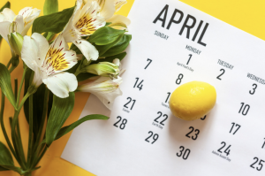 La saisonnalité régit l'activité d'hébergeur