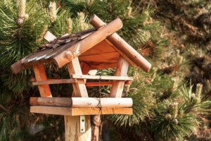 Un refuge LPO sert à préserver les espèces volatiles menacées