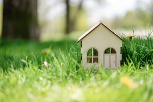 Transformer son domaine insolite en refuge LPO nécessite d'appliquer certains gestes