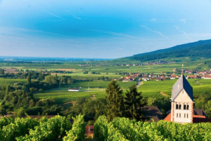 Comment maximiser vos réservations à la campagne ?