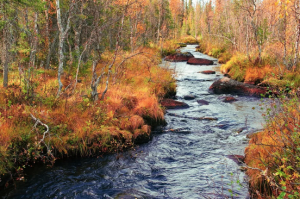 L'eau est un atout des hébergements insolites