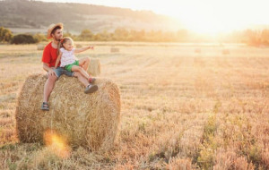 Comment maximiser vos réservations à la campagne : mettre en avant les atouts.