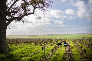 Viabilité économique avec Ferme d'Avenir