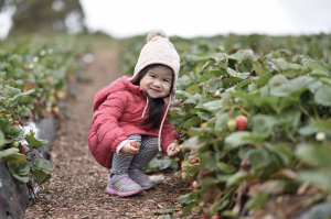 Diversifier votre offre avec la micro-agriculture
