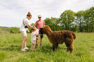 Concilier tourisme et micro-agriculture avec la ferme pédagogique