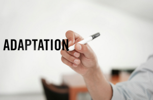 Savoir s'adapter avec la formation continue