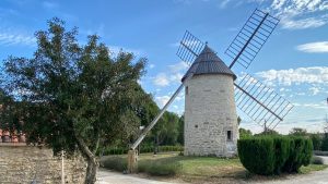 Transformer votre hébergement insolite en star des réseaux sociaux