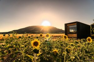 Tiny house insolite dans un champ de tournesols