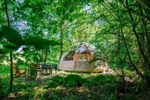 Dôme en forêt