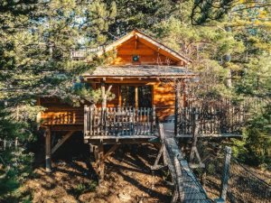 Marché de l'hébergement insolite : cabane dans les arbres
