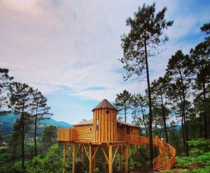 Cabane dans les arbres - performances hébergement insolite