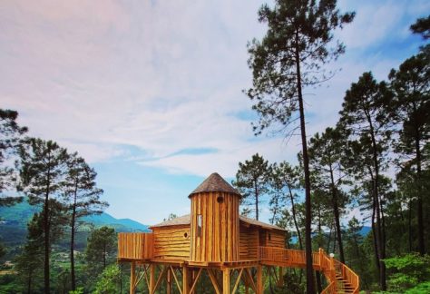 Cabane dans les arbres - performances hébergement insolite
