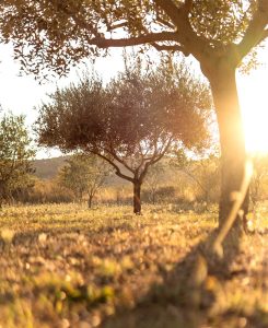 Séjour reposant à la campagne