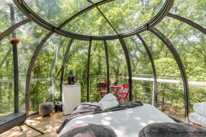 Intérieur bulle transparente